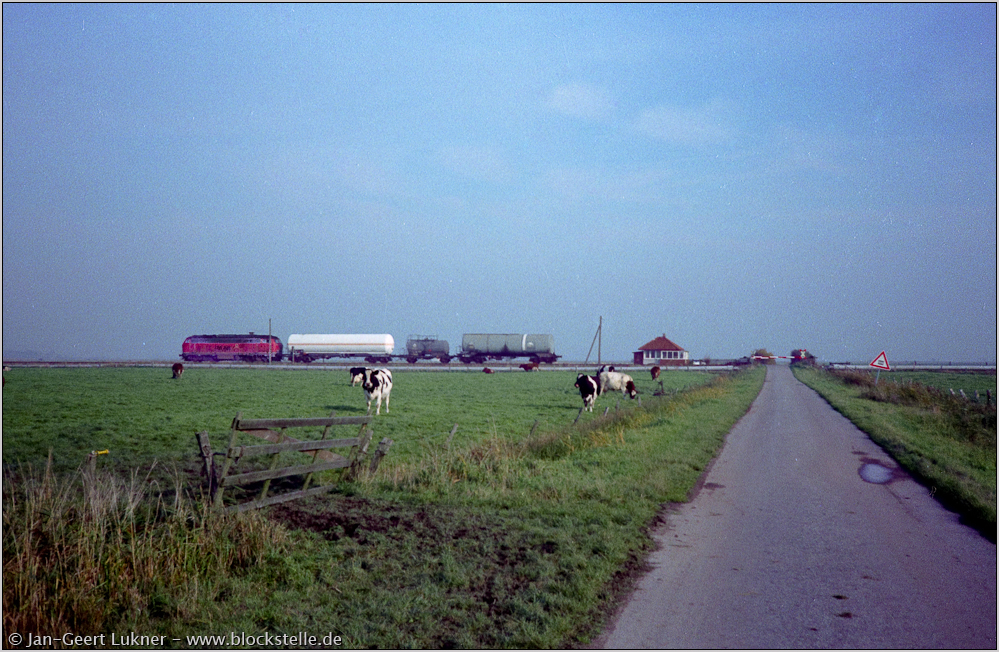Die Marschbahn - Von Meldorf nach Husum: Bild 4 von 21