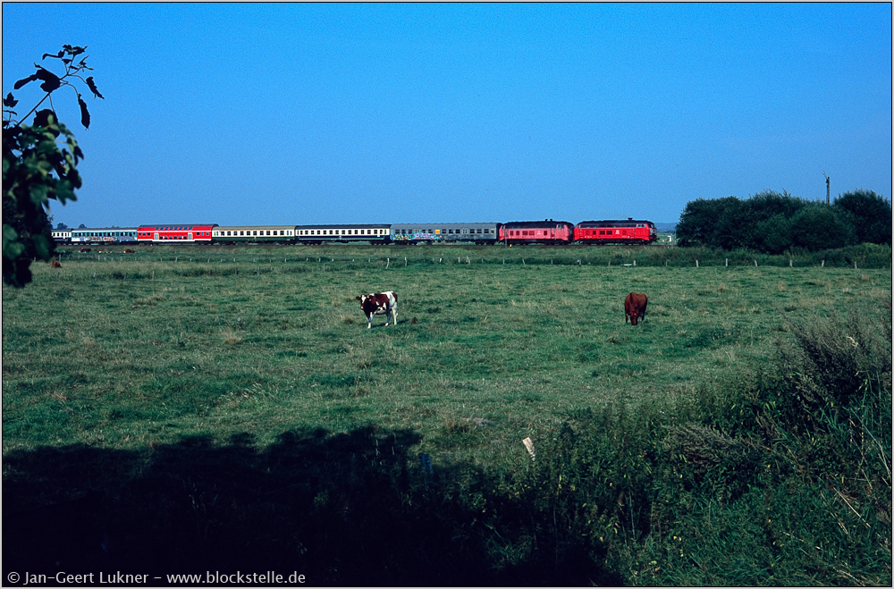 Die Marschbahn - Von Meldorf nach Husum: Bild 1 von 21