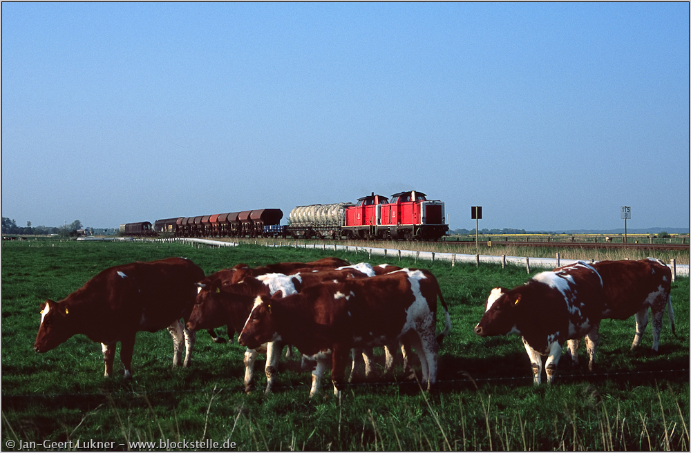 Die Marschbahn - Von Meldorf nach Husum: Bild 5 von 21